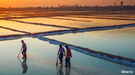 Mumbai's Slum Rehabilitation on Saltpan and Mangrove Lands Reduced to 65%
