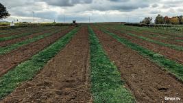 Buying Agricultural Land in India? Must-Know Legal Steps & Risks