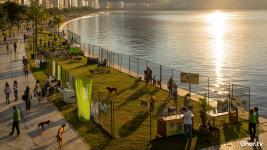 Environmental Groups Challenge Thane's Kavesar Lake Beautification Project Amid Ecosystem Concerns