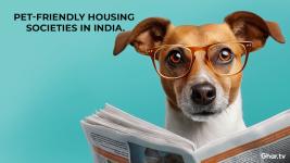 Top Pet-Friendly Housing Societies in India: A Complete Guide for Pet Parents