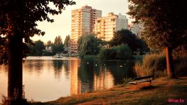 NGT Initiates Legal Proceedings Against Ahmedabad Municipal Corporation Over Illegal Lake Destruction