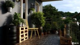 Complete Balcony Garden Design Guide for Indian Apartments