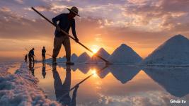 Maharashtra Converts 20,000 Sqm Wadala Salt Pan Land to Residential Zone for IAS Gymkhana and EVM Warehouse