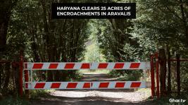 Haryana Forest Department Clears 25 Acres of Illegal Encroachments in Sohna's Aravali Hills