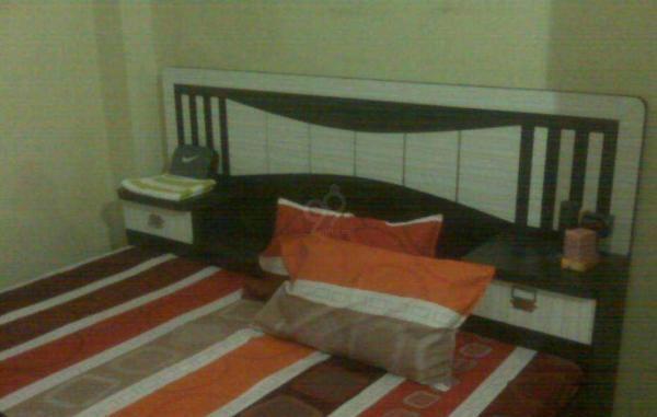1 BHK Flat for Rent in   