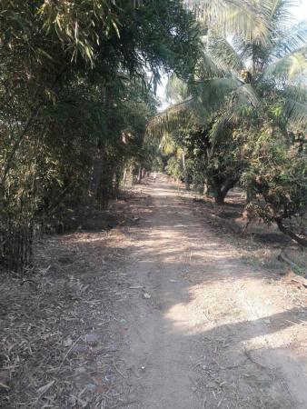 Built-up 2887 Sq.Meter Farm / Agriculture land for Sale in Abrama Valsad by Namrata Desai Built-up 2887 Sq.Meter Farm / Agriculture land for Sale in Abrama Valsad by Namrata Desai