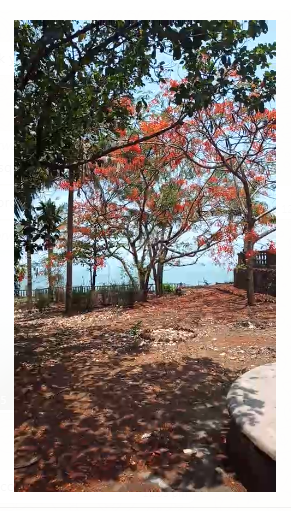 Plot 5446 Sq.Meter Commercial Plot for Sale in Dona Paula North Goa by Rajesh Mishra Plot 5446 Sq.Meter Commercial Plot for Sale in Dona Paula North Goa by Rajesh Mishra