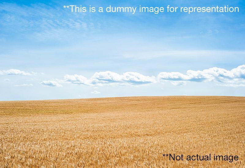  Residential Plot for Sale in Tirupati Highway Glory  Dongargaon Nagpur