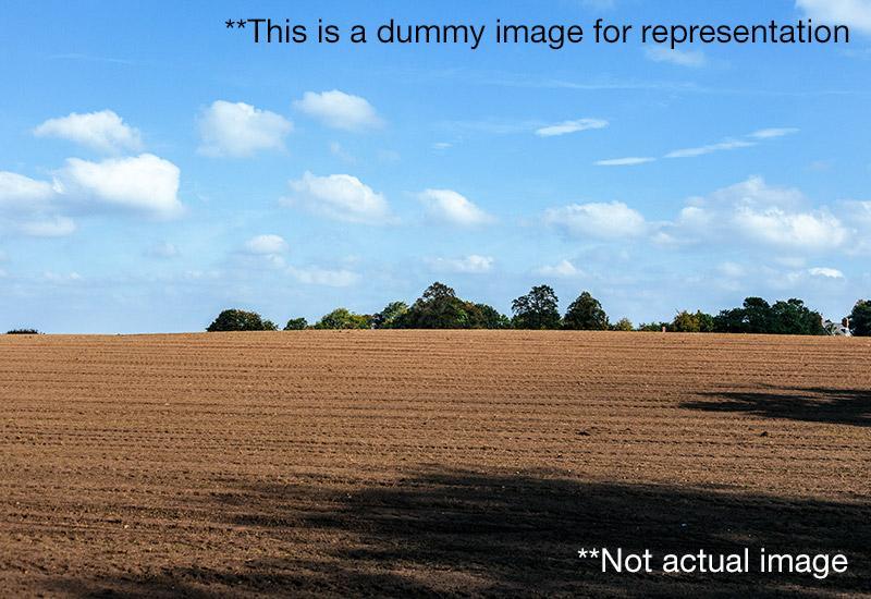 Farm / Agriculture Land for Rent in Pahani Agricultural lands  Nalgonda Road Nalgonda