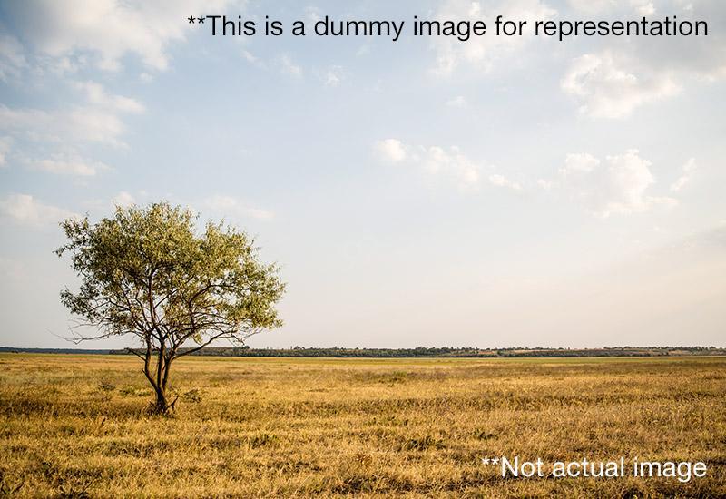  Residential Plot for Sale in Aaditya Estate  Borkhedi  Nagpur