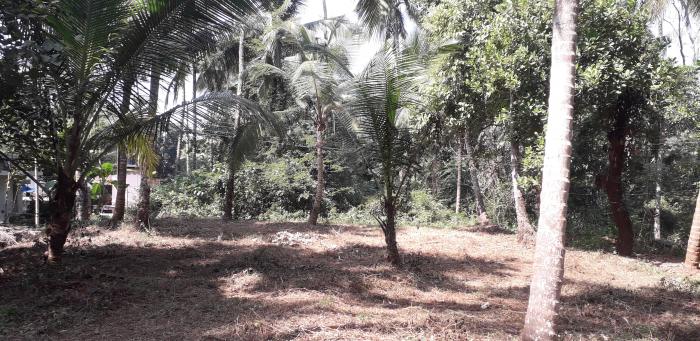 Residential Plot for Sale of Plot 10018.8 Sq.ft in Tellicherry Kannur by Nandhu Residential Plot for Sale of Plot 10018.8 Sq.ft in Tellicherry Kannur by Nandhu