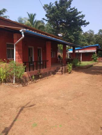 Independent House / Villa / Bungalow for Rent of Plot 5 Acre in Agrotourism dapoli Dapoli Ratnagiri by Mbd Independent House / Villa / Bungalow for Rent of Plot 5 Acre in Agrotourism dapoli Dapoli Ratnagiri by Mbd