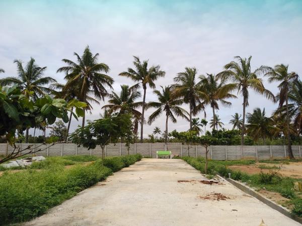 Property for Sale of Plot 9600 Sq.ft in Rajankunte Bangalore by Bhuvanshwarai Property for Sale of Plot 9600 Sq.ft in Rajankunte Bangalore by Bhuvanshwarai