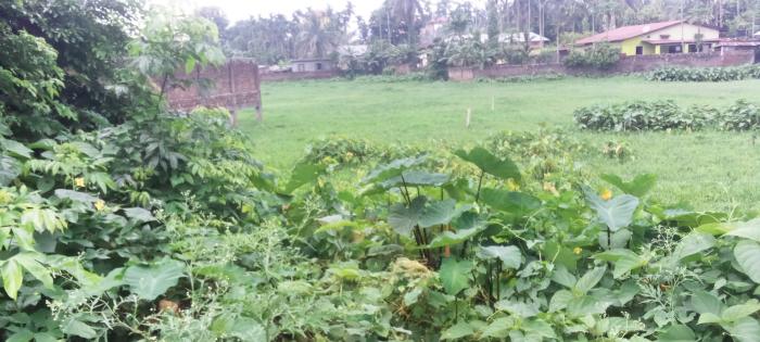 Residential Plot for Sale of Plot 2013 Sq.ft in Mahabhairab Tezpur by Dipankar Borgohain Residential Plot for Sale of Plot 2013 Sq.ft in Mahabhairab Tezpur by Dipankar Borgohain