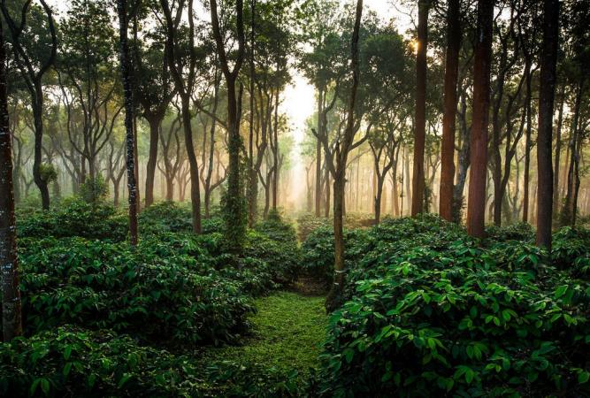 Built-up 5000 Sq.ft Property for Sale in Yercaud Salem by Mary Priya Built-up 5000 Sq.ft Property for Sale in Yercaud Salem by Mary Priya