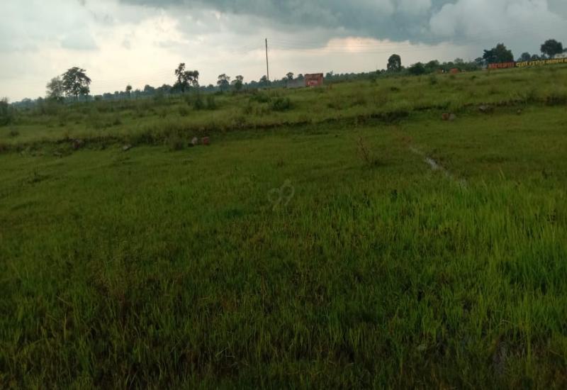 Residential Plot for Sale in Junwani Bhillai by Virendra Kumar Deshlahre Residential Plot for Sale in Junwani Bhillai by Virendra Kumar Deshlahre