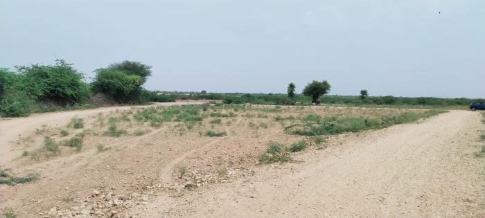 Plot 1000 Sq.ft Industrial Land / Plot for Sale in Pali Road Jodhpur by Mukesh Plot 1000 Sq.ft Industrial Land / Plot for Sale in Pali Road Jodhpur by Mukesh