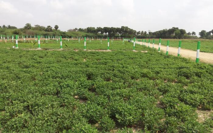 Plot 9600 Sq.ft Farm / Agriculture land for Sale in Madhurantakam Chennai by Sushmitha Plot 9600 Sq.ft Farm / Agriculture land for Sale in Madhurantakam Chennai by Sushmitha
