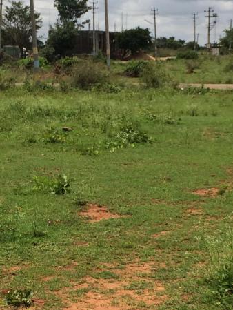 Residential Plot for Sale of Plot 2400 Sq.ft in Madikeri Kodagu by Saurabh Residential Plot for Sale of Plot 2400 Sq.ft in Madikeri Kodagu by Saurabh
