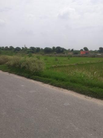 Built-up 2 Bigha Farm / Agriculture land for Sale in Jawer airport Greater Noida West Greater Noida by Dhanendra singh Built-up 2 Bigha Farm / Agriculture land for Sale in Jawer airport Greater Noida West Greater Noida by Dhanendra singh