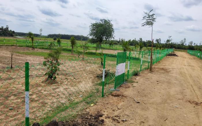 Plot 10000 Sq.ft Farm / Agriculture land for Sale in Madhurantakam Chennai by Thambidurai Plot 10000 Sq.ft Farm / Agriculture land for Sale in Madhurantakam Chennai by Thambidurai