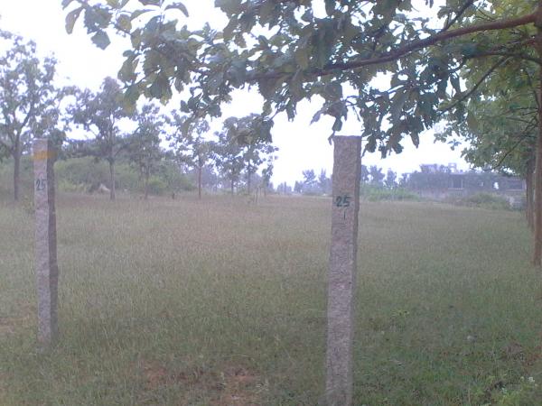 Residential Plot for Sale of Plot 8591 Sq.ft in Hoskote Bangalore by Narayan Residential Plot for Sale of Plot 8591 Sq.ft in Hoskote Bangalore by Narayan