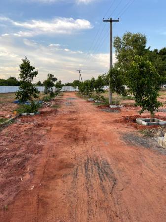 Residential Plot for Sale of 1500 in Auroville plots Auroville Pondicherry by Vijayam Promoter Residential Plot for Sale of 1500 in Auroville plots Auroville Pondicherry by Vijayam Promoter