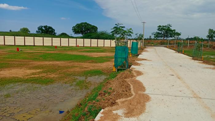 Residential Plot for Sale of Plot 1500 Sq.ft in Mega Township Thiruverumbur Trichy by Murthy Residential Plot for Sale of Plot 1500 Sq.ft in Mega Township Thiruverumbur Trichy by Murthy