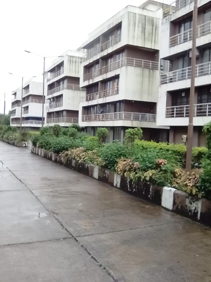 1 BHK Apartment for Sale of Carpet 495 Sq.ft in New Hill View CHS Wada Palghar by Meghna Iyer 1 BHK Apartment for Sale of Carpet 495 Sq.ft in New Hill View CHS Wada Palghar by Meghna Iyer