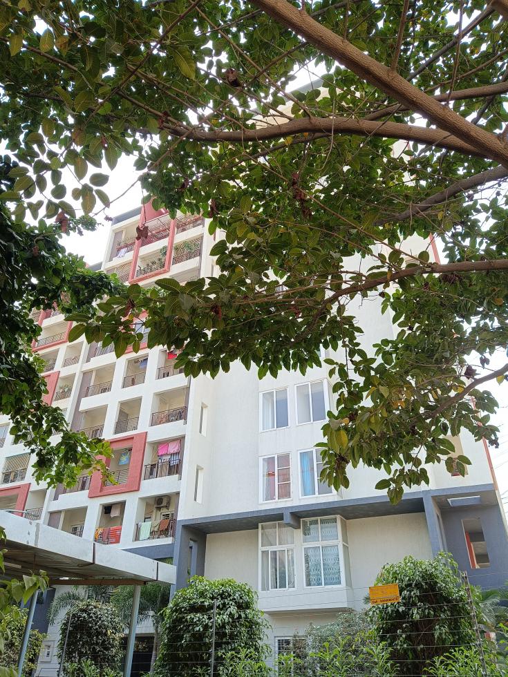 3 BHK Apartment for Rent of Built-up 1213 Sq.ft in BPR Pearl Celestial Kokapet Hyderabad by Hafeez 3 BHK Apartment for Rent of Built-up 1213 Sq.ft in BPR Pearl Celestial Kokapet Hyderabad by Hafeez