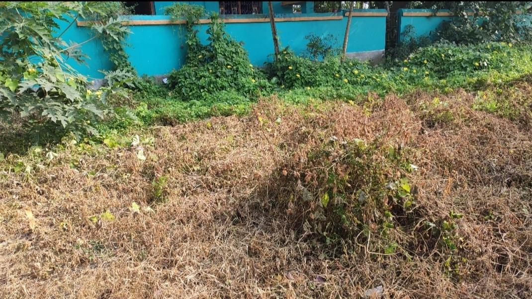 Residential Plot for Sale of Plot 1440 Sq.ft in Hooghly Kolkata by Gouri Shankar Ghosh Residential Plot for Sale of Plot 1440 Sq.ft in Hooghly Kolkata by Gouri Shankar Ghosh