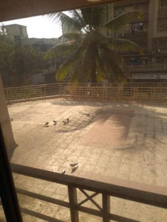 for Sale of Built-up 1100 Sq.ft in Siddharth Apartment by Property Space India for Sale of Built-up 1100 Sq.ft in Siddharth Apartment by Property Space India