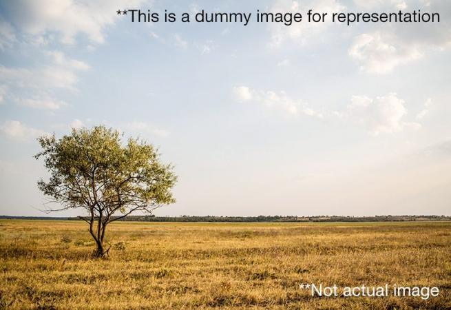  Residential Plot for Sale in Cidco-Naina Phase 2 Village Kolkhe Panvel Navi Mumbai