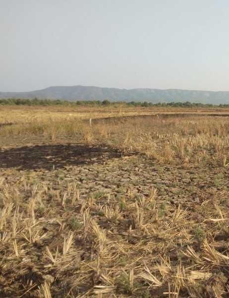 Built-up 5000 Sq.ft Industrial Land / Plot for Sale in Uran Navi Mumbai by Arun Shinde Built-up 5000 Sq.ft Industrial Land / Plot for Sale in Uran Navi Mumbai by Arun Shinde