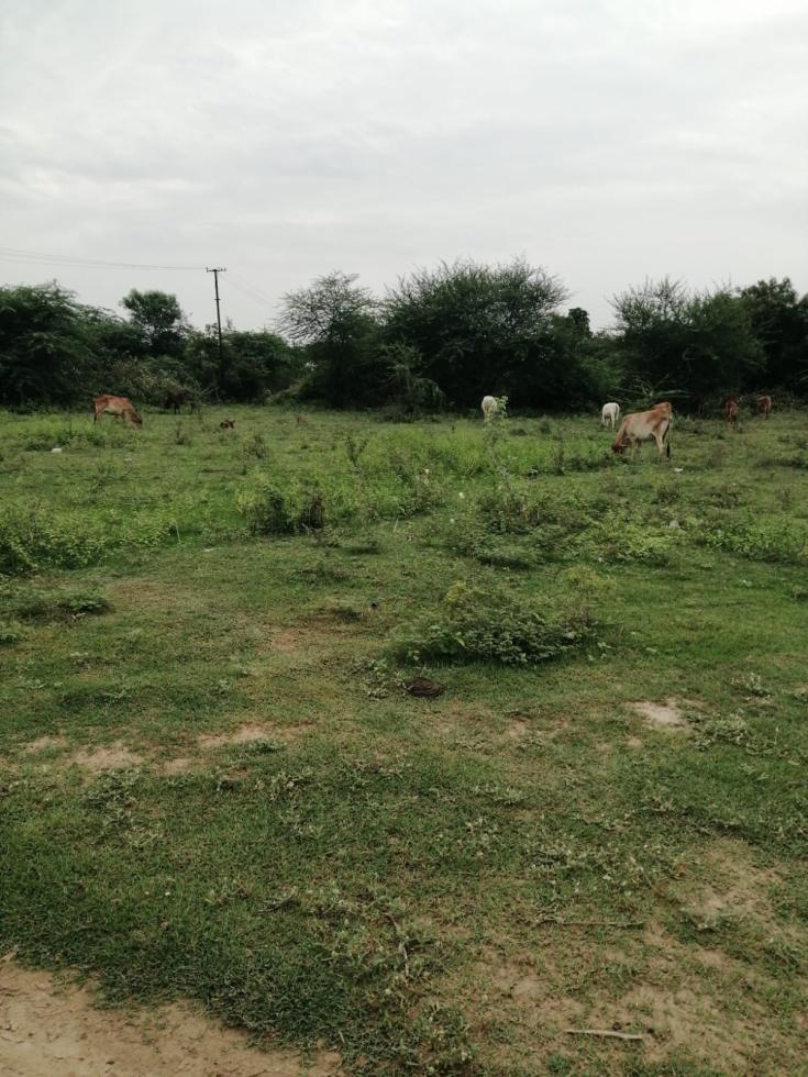 Residential Plot for Sale of - On Request - in Palliyaraikuppam Tiruvallur by Rahmathulla Shariff Residential Plot for Sale of - On Request - in Palliyaraikuppam Tiruvallur by Rahmathulla Shariff