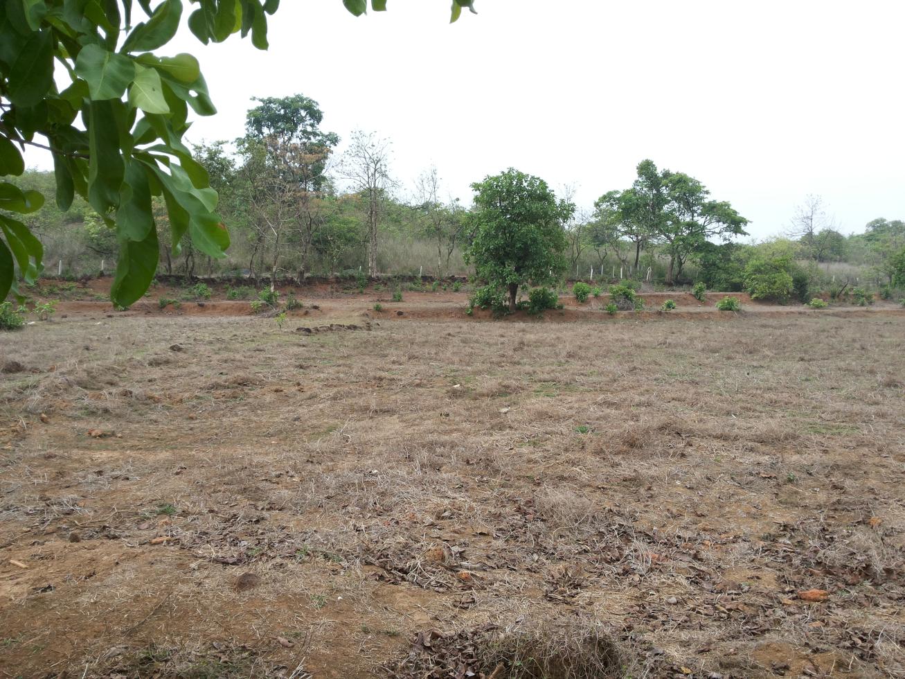 Property for Sale of Plot 90000 Sq.Meter in Bicholim North Goa by Ramdas Pote Property for Sale of Plot 90000 Sq.Meter in Bicholim North Goa by Ramdas Pote
