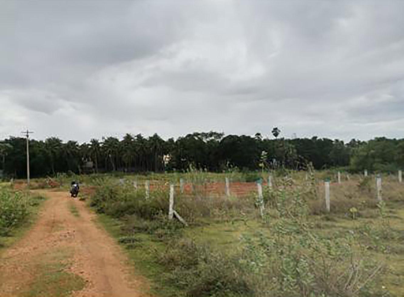 Independent House / Villa / Bungalow for Sale of Built-up 1787 Sq.ft in Jehovah Jayam Nagar Plot 1 Melapalayam Tirunelveli by Mydeen Independent House / Villa / Bungalow for Sale of Built-up 1787 Sq.ft in Jehovah Jayam Nagar Plot 1 Melapalayam Tirunelveli by Mydeen