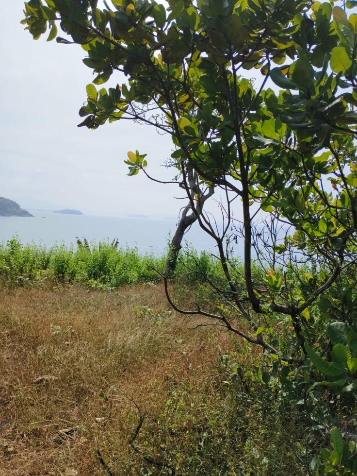 Plot 65000 Sq.ft Hotel/Resort Land for Sale in Canacona South Goa by Mahadev Desai Plot 65000 Sq.ft Hotel/Resort Land for Sale in Canacona South Goa by Mahadev Desai