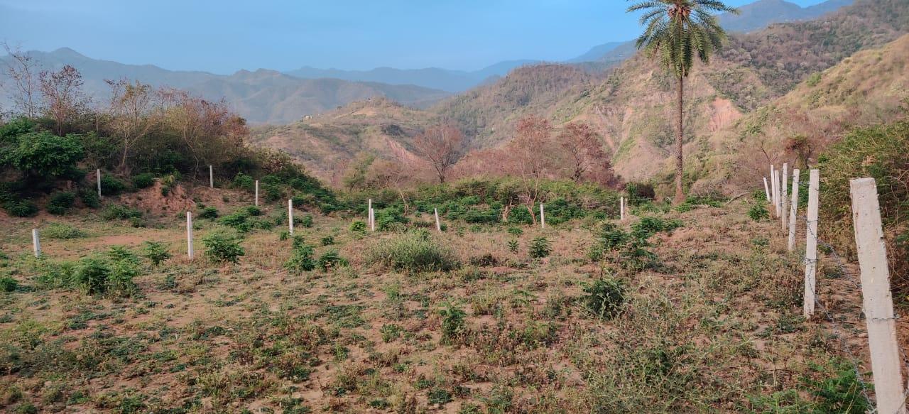 Residential Plot for Sale of Plot 1 Bigha in Morni Panchkula by Shakti Residential Plot for Sale of Plot 1 Bigha in Morni Panchkula by Shakti