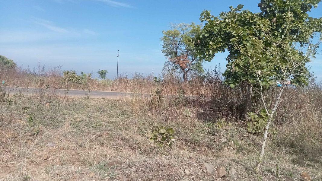 Plot 80000 Sq.ft Farm / Agriculture land for Sale in Narkhed Nagpur by Taj Raieen Plot 80000 Sq.ft Farm / Agriculture land for Sale in Narkhed Nagpur by Taj Raieen