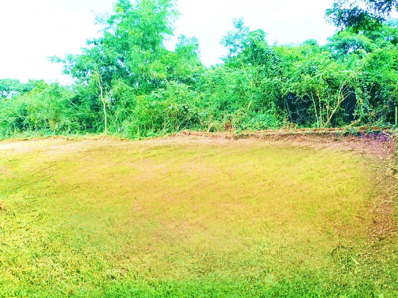 Residential Plot for Sale of Plot 83 Cents in Payathampoyil Kannur by Shyamjith Residential Plot for Sale of Plot 83 Cents in Payathampoyil Kannur by Shyamjith