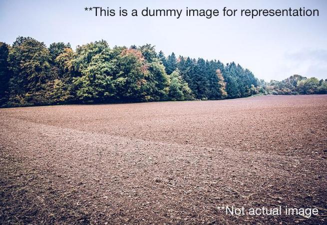  Residential Plot for Rent in Mag 5 Boulevard Dubai Dubai World Central Jebel Road Dubai