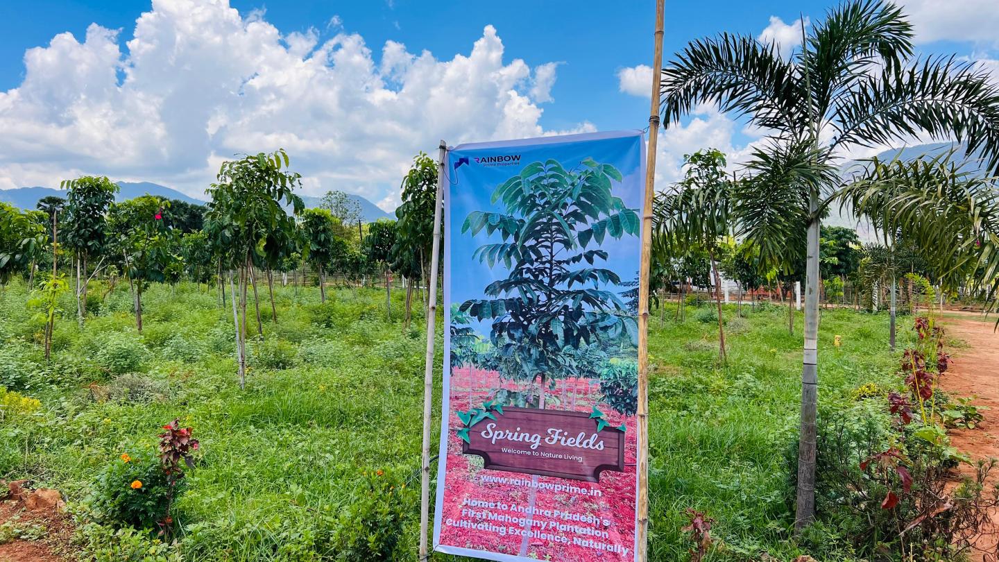 Plot 200 Sq.Yard Farm / Agriculture land for Sale in Araku Road Visakhapatnam by Sushmita Mahapatra Plot 200 Sq.Yard Farm / Agriculture land for Sale in Araku Road Visakhapatnam by Sushmita Mahapatra