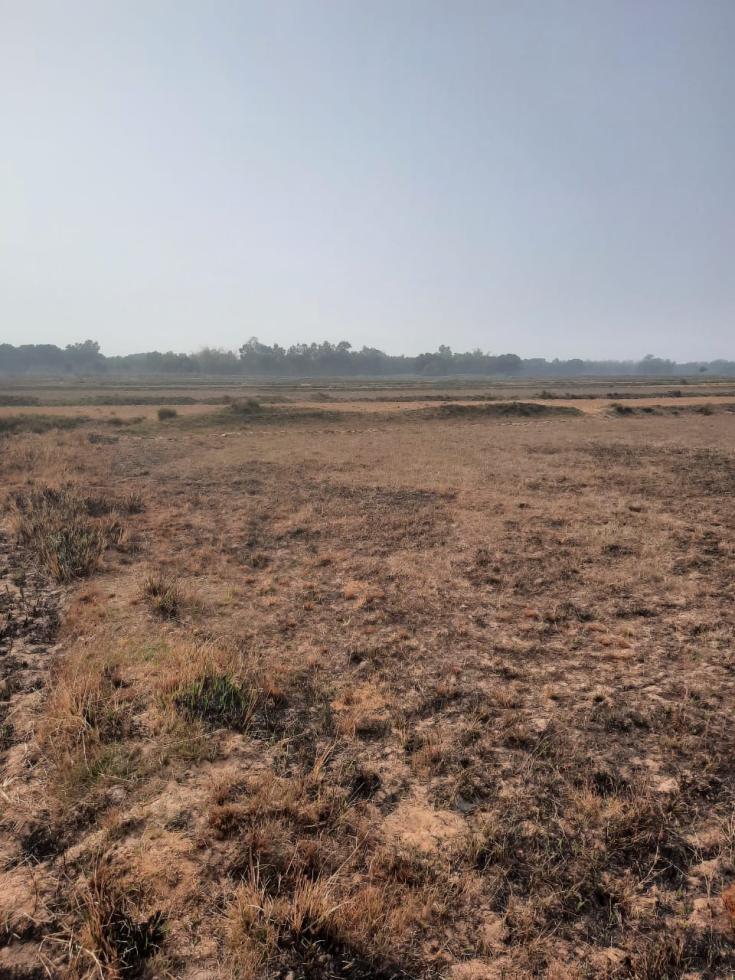 Plot 1 Acre Farm / Agriculture land for Sale in Mahipur Nayagarh by Sonu Plot 1 Acre Farm / Agriculture land for Sale in Mahipur Nayagarh by Sonu