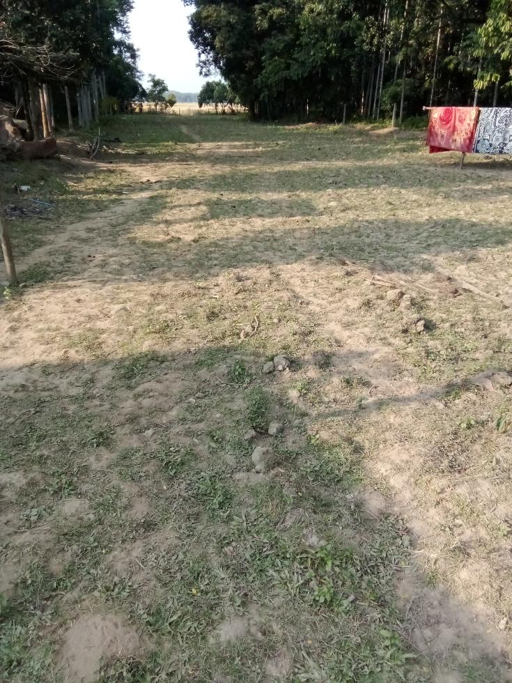 Residential Plot for Sale of Plot 5800 Sq.ft in Amolapatty Dibrugarh by Sanjeeb Singh Residential Plot for Sale of Plot 5800 Sq.ft in Amolapatty Dibrugarh by Sanjeeb Singh