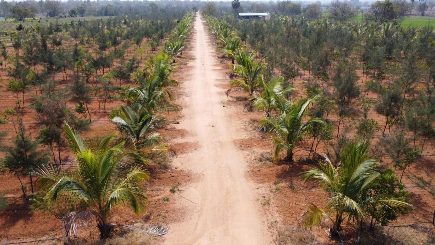 Residential Plot for Sale of Plot 120 Sq.Yard in Subhapradam Anandavanam Yadadri Bhuvanagiri Hyderabad by Mohan Rao Residential Plot for Sale of Plot 120 Sq.Yard in Subhapradam Anandavanam Yadadri Bhuvanagiri Hyderabad by Mohan Rao