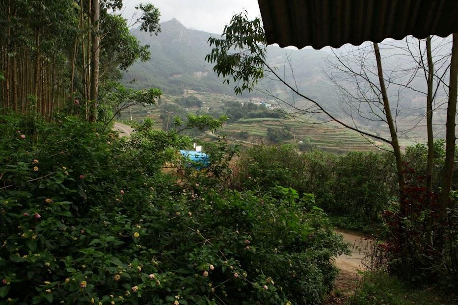 Plot 231 Cents Commercial Plot for Sale in   by Behanan George