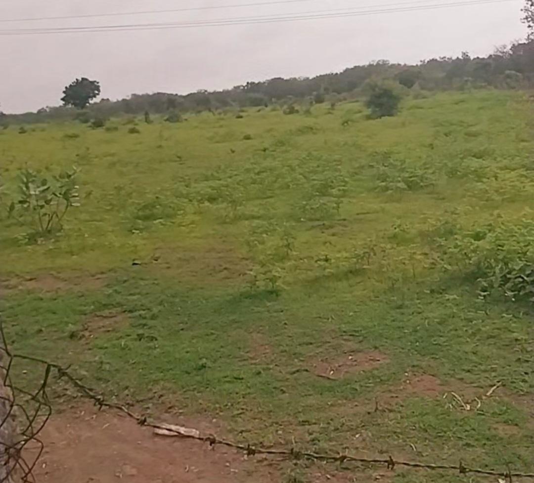 Other Farm House for Sale of Plot 12 Acre in by Mahesh Other Farm House for Sale of Plot 12 Acre in by Mahesh