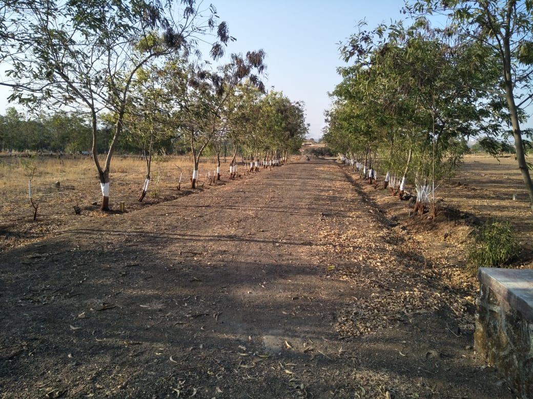 Residential Plot for Sale of Plot 6000 Sq.ft in by Dinesh Tripathi Residential Plot for Sale of Plot 6000 Sq.ft in by Dinesh Tripathi