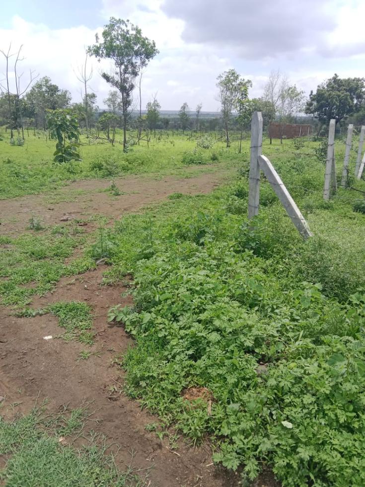 Plot 4840 Sq.Yard Farm / Agriculture Land for Sale in by Govindu Venkatadri Plot 4840 Sq.Yard Farm / Agriculture Land for Sale in by Govindu Venkatadri